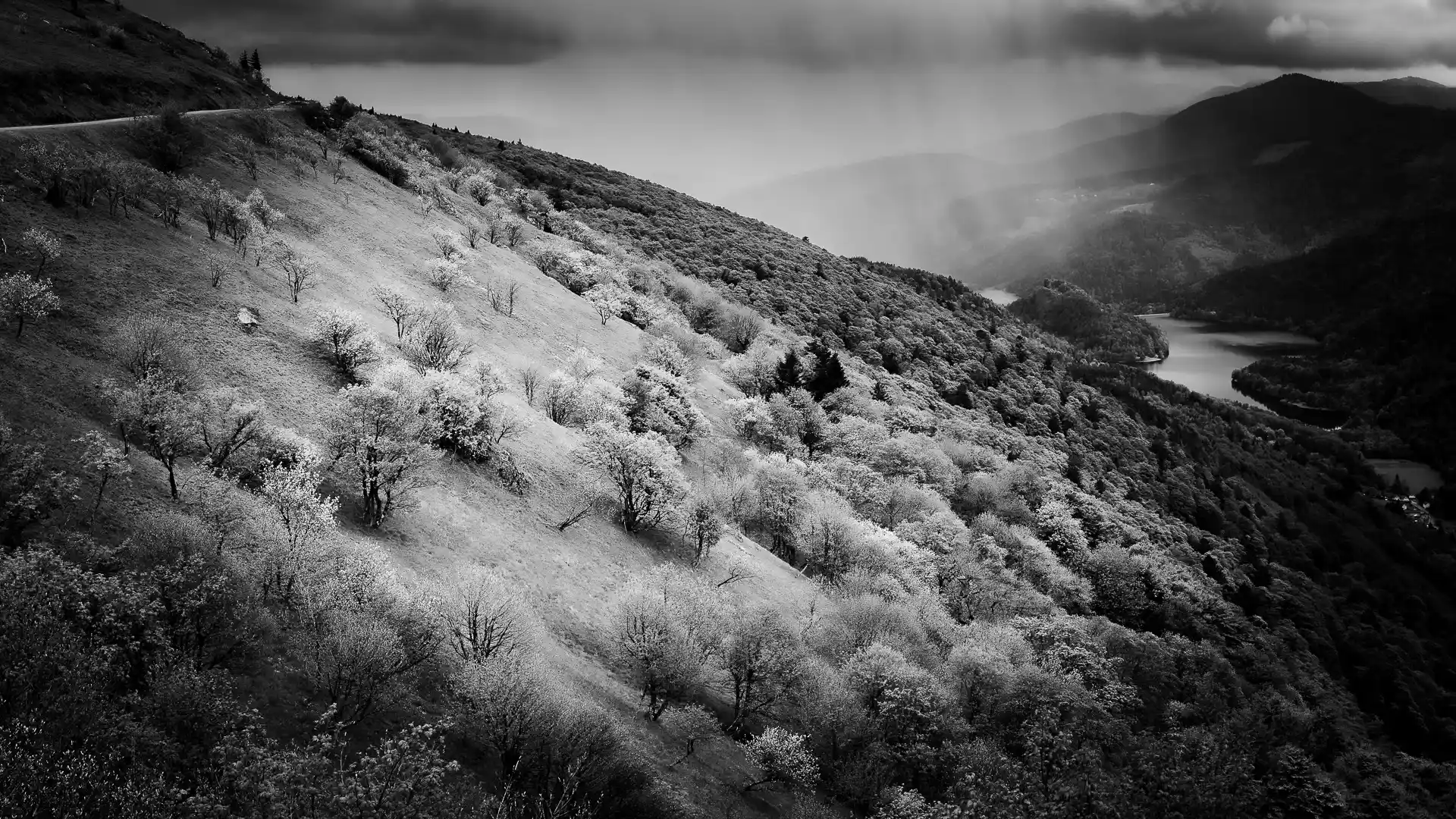 Black and White – Digilog